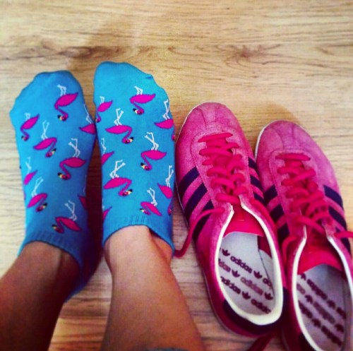 Adidas Gazelle's never looked prettier before. These Flamingo socks belong to @sheri_peri / Sheral Pereira