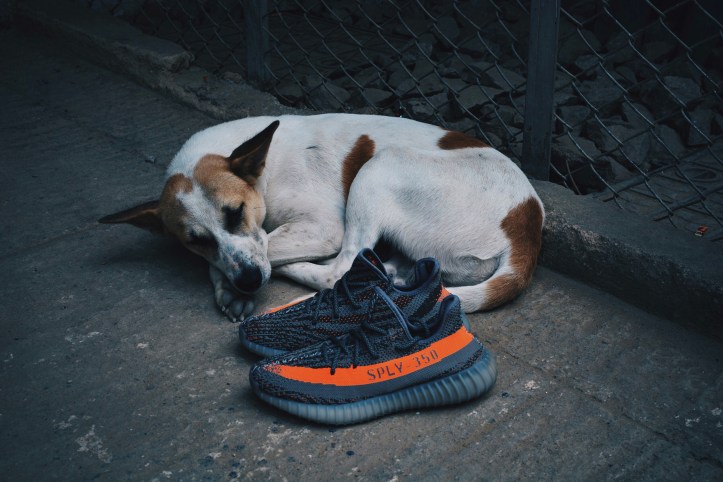 Yeezy Boost 350 V2 Beluga