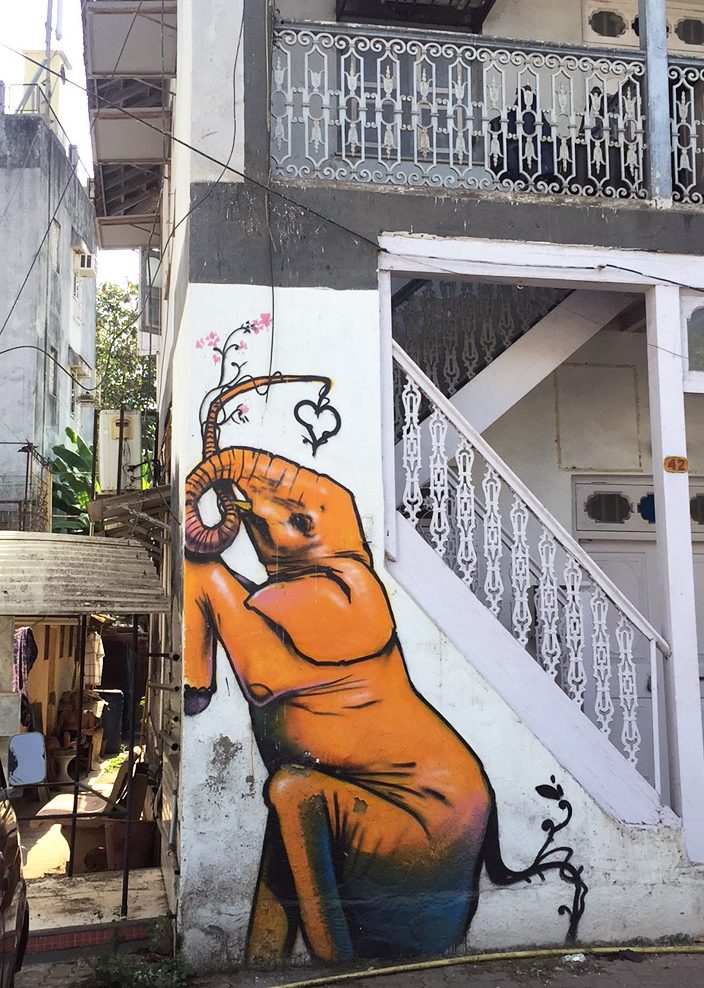 Indian Travel Blogger