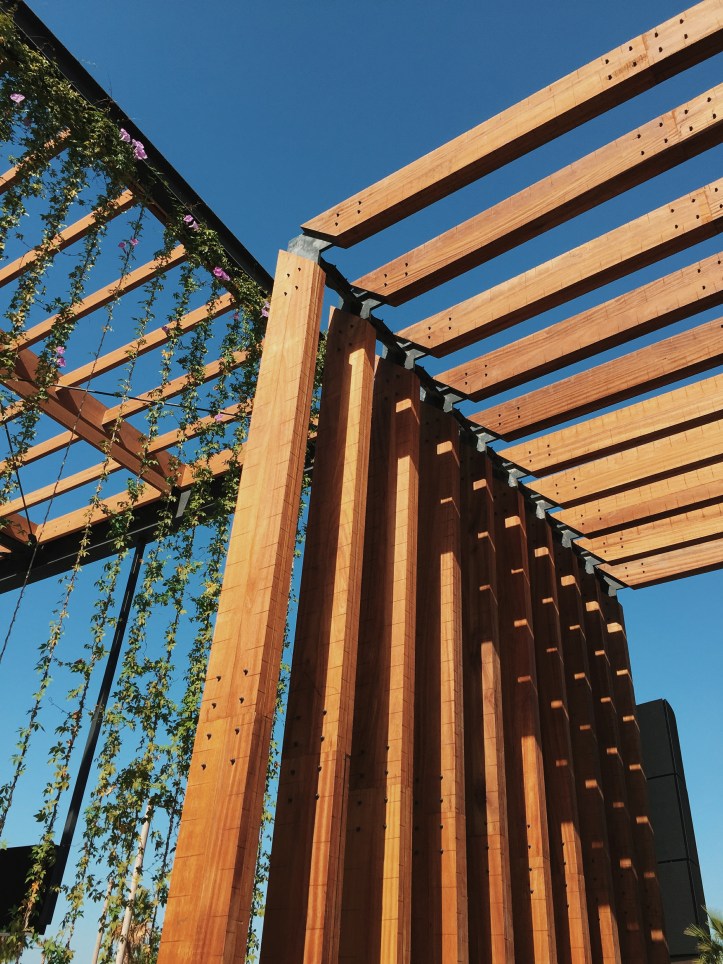 Things to do in Dubai