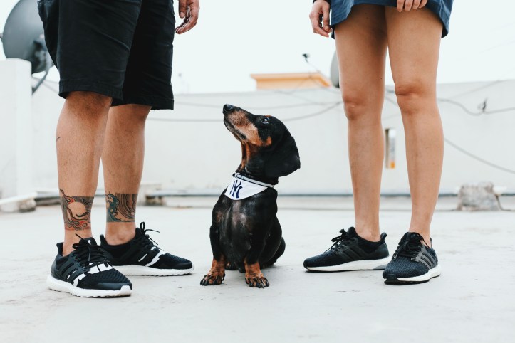 Family Portrait with Dog