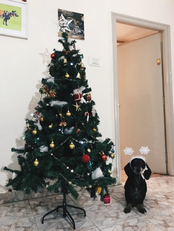 Scratch Christmas Photo