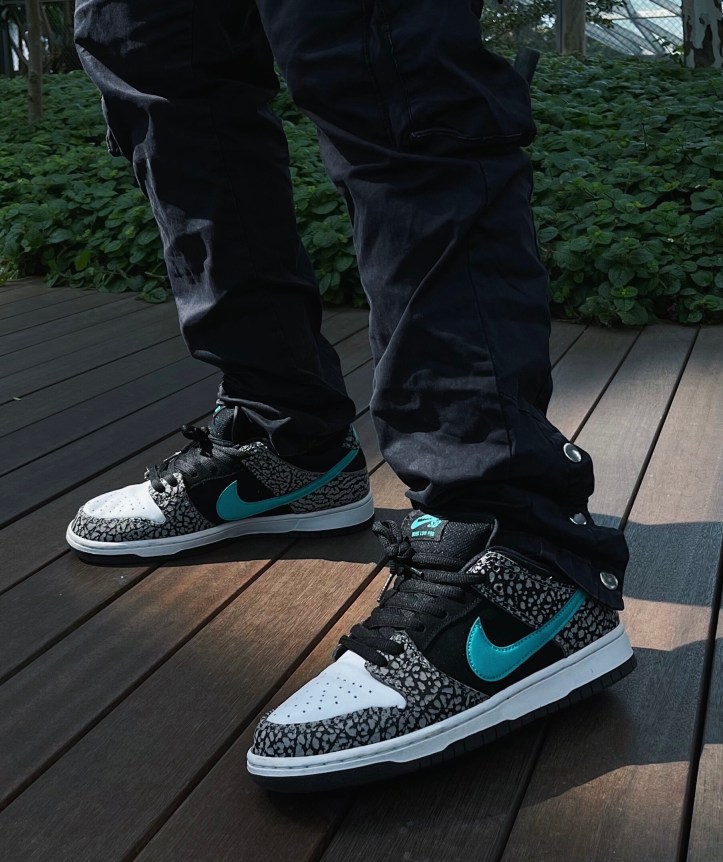 Atmos Elephant Print Nike Dunk SB