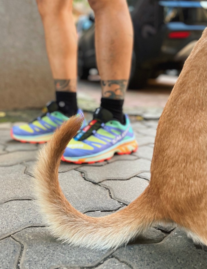 Salomon XT 4 Advanced Salomon Lab Primrose